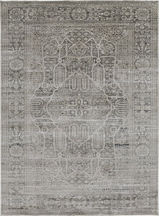 Feizy Macklaine 39FRF Beige/Gray Area Rug main image