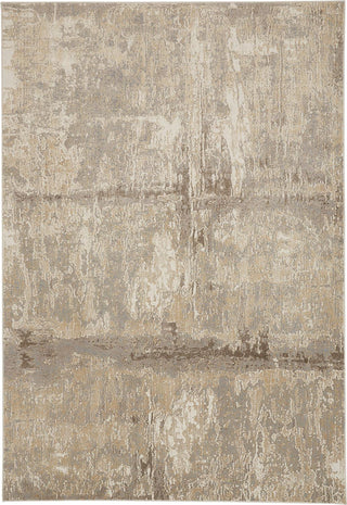 Feizy Parker 3701F Ivory/Gray Area Rug main image