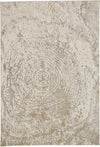 Feizy Parker 3702F Ivory/Gray Area Rug main image