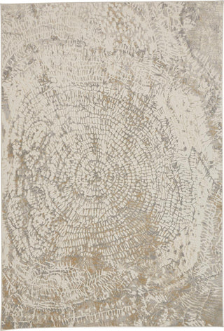 Feizy Parker 3702F Ivory/Gray Area Rug main image