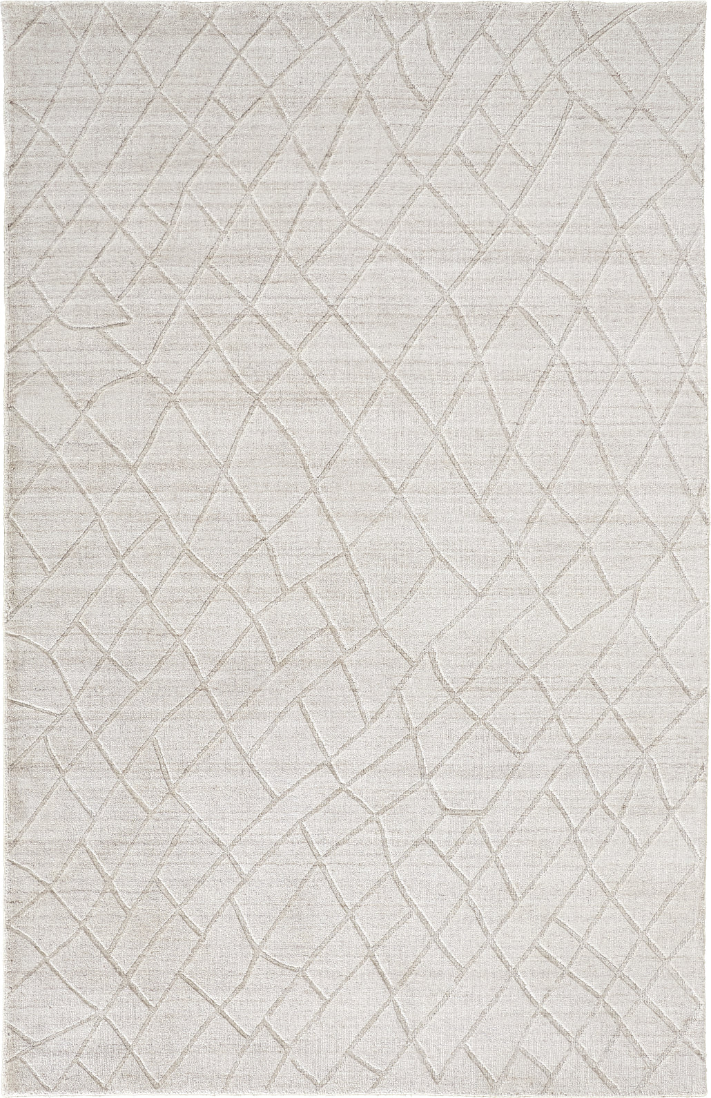 Feizy Redford 8846F Beige Area Rug main image