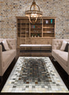 Feizy Estelle L9138 Gray/Brown Area Rug Lifestyle Image Feature