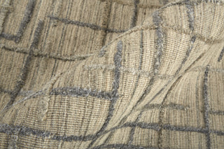 Feizy Kirkwood T8001 Beige/Silver Area Rug Up Close Image