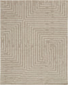 Feizy Fenner T8003 Beige/Ivory Area Rug main image
