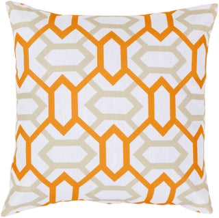 Surya Zoe Connect the Diamonds FF-047 Pillow 18 X 18 X 4 Poly filled