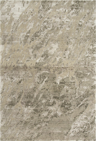 Rizzy Finesse FIN102 Beige Area Rug main image