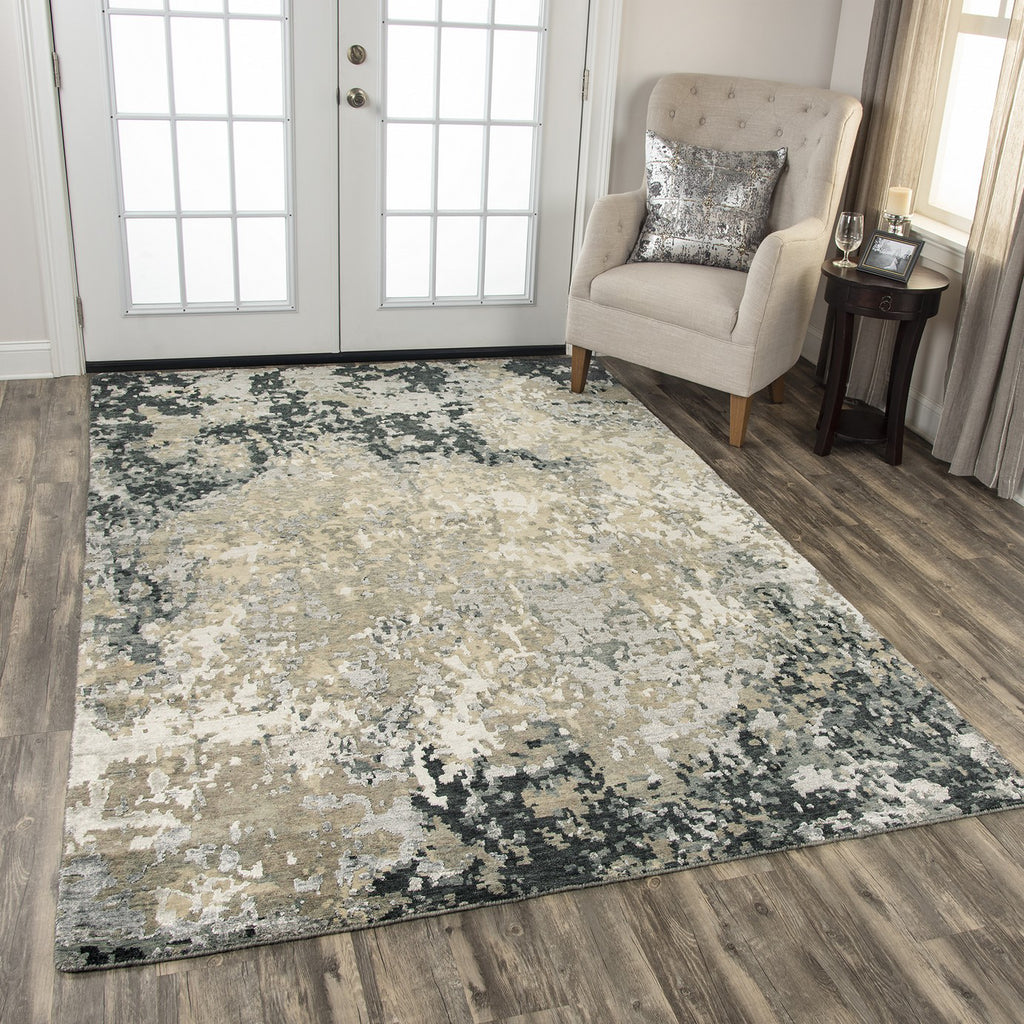 Rizzy Finesse FIN106 Beige/Gray Area Rug Style Image Feature