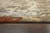 Rizzy Finesse FIN109 Brown/Gray Area Rug Style Image