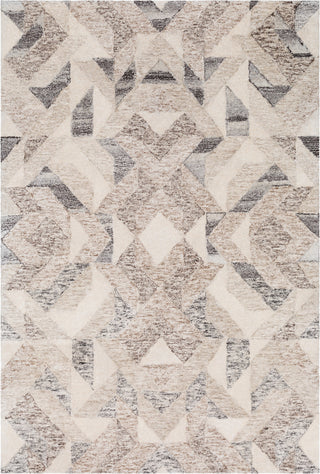 Surya Falcon FLC-8002 Camel Dark Brown Beige Taupe Black Butter Area Rug Mirror main image