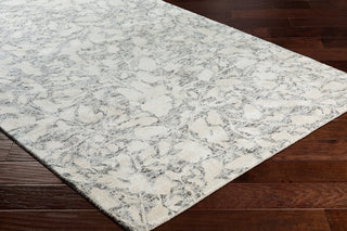 Surya Falcon FLC-8006 Area Rug Corner Shot