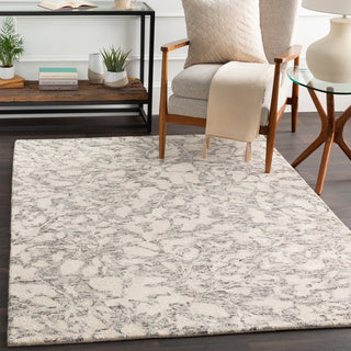 Surya Falcon FLC-8006 Area Rug Room Scene Feature