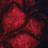 Chandra Flemish FLE-51105 Red/Black Area Rug Close Up