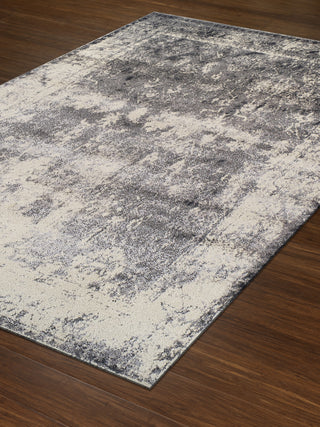 Dalyn Antiquity AQ1330 Grey Area Rug Floor Shot