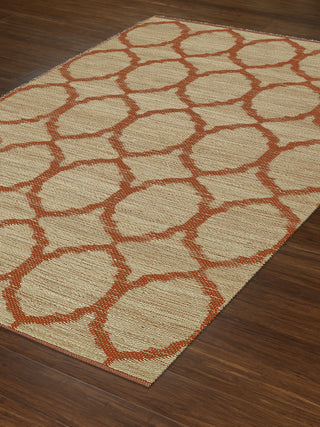 Dalyn Santiago SG100 Orange Area Rug Main Image Feature