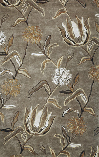 KAS Florence 4577 Silver Wildflowers Area Rug main image