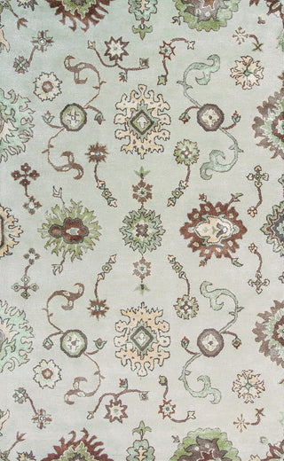 KAS Florence 4583 Sand Allover Oushak Area Rug main image