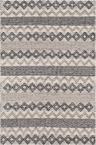 Surya Farmhouse Neutrals FLS-2302 Area Rug main image