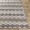 Surya Farmhouse Neutrals FLS-2302 Area Rug