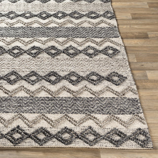 Surya Farmhouse Neutrals FLS-2302 Area Rug