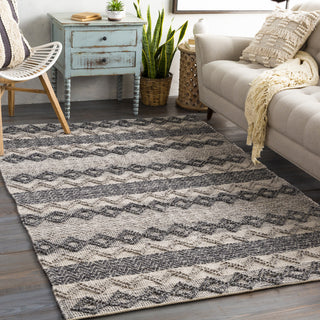 Surya Farmhouse Neutrals FLS-2302 Area Rug