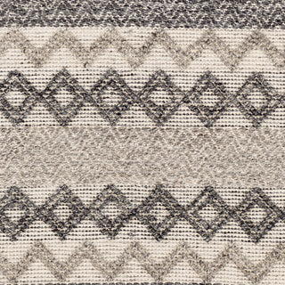 Surya Farmhouse Neutrals FLS-2302 Area Rug