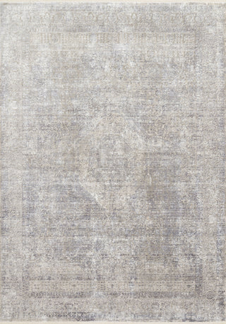 Loloi Franca FRN-01 Silver/Pebble Area Rug main image