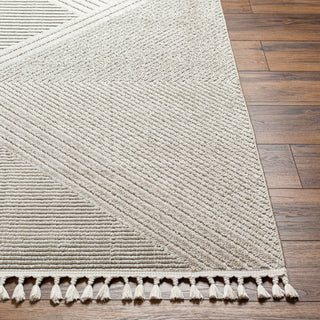 Surya Finland FND-2304 Area Rug 