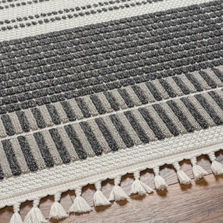 Surya Finland FND-2305 Area Rug 