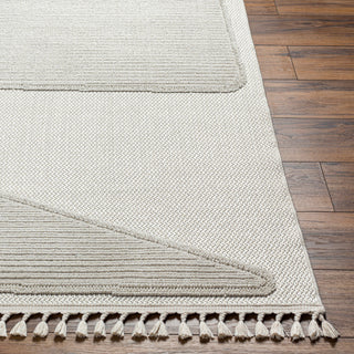 Surya Finland FND-2306 Area Rug 