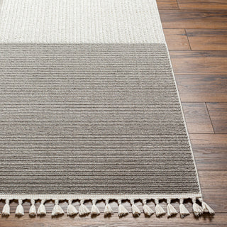 Surya Finland FND-2307 Area Rug 