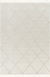 Surya Finland FND-2309 Area Rug main image