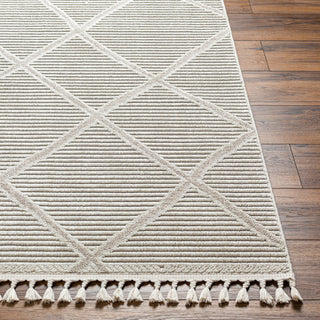 Surya Finland FND-2309 Area Rug 