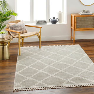 Surya Finland FND-2309 Area Rug 