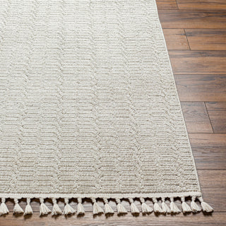 Surya Finland FND-2310 Area Rug 