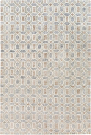 Surya Florentine FNT-1002 Neutral/Grey Area Rug main image