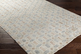 Surya Florentine FNT-1002 Neutral/Grey Area Rug Closeup