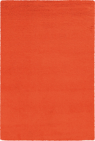 Pantone Universe Focus 4849D Orange/ Orange Area Rug Main Image