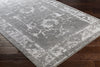 Surya Florence FRO-2305 Area Rug  Feature