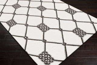 Surya Frontier FT-181 Ivory Hand Woven Area Rug 5x8 Corner