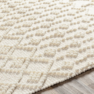 Livabliss Farmhouse Tassels FTS-2305 Area Rug