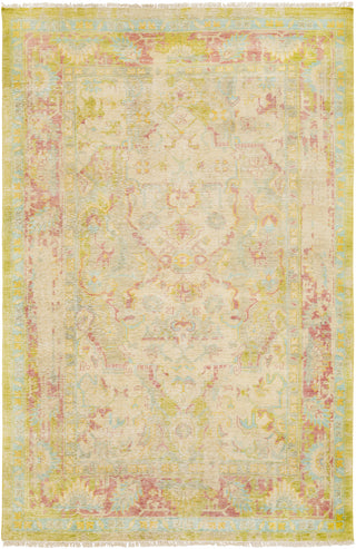 Surya Festival FVL-1000 Area Rug main image