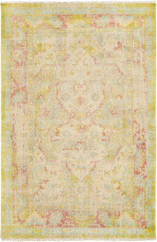 Surya Festival FVL-1000 Area Rug 6'  X 9'