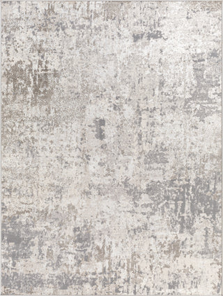 Surya Firenze FZE-2303 Area Rug main image