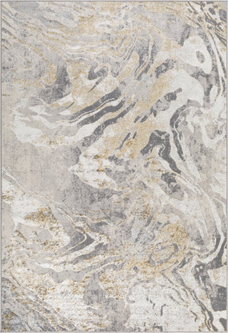 Surya Firenze FZE-2306 Area Rug main image