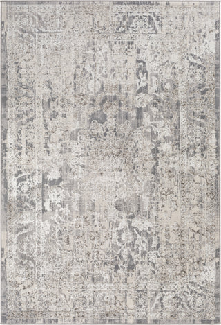 Surya Firenze FZE-2310 Area Rug main image