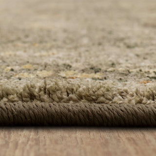 Karastan Euphoria Galway Willow Grey Area Rug Detail Image