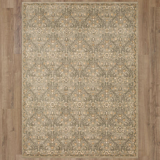 Karastan Euphoria Galway Willow Grey Area Rug Main Image