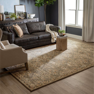 Karastan Euphoria Galway Willow Grey Area Rug Lifestyle Image Feature