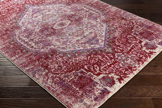 Surya Germili GER-2307 Pink/Purple Area Rug Closeup