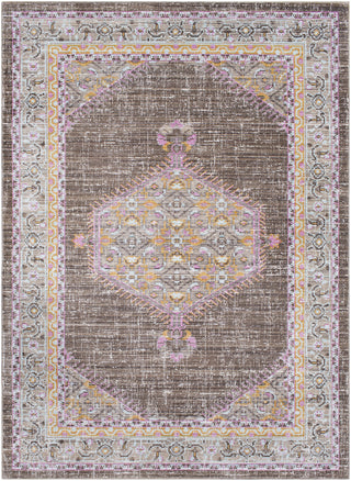 Surya Germili GER-2316 Pink/Brown Area Rug main image